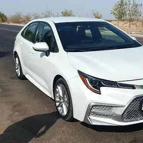 Toyota Corolla 2022