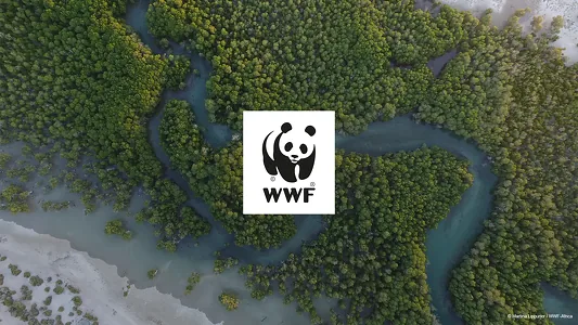 Туркменистан подписал меморандум с WWF