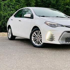 Toyota Corolla 2016