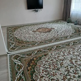 Ata turk elitka