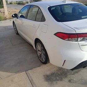 Toyota Corolla 2021