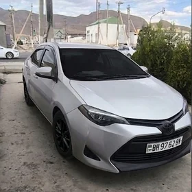 Toyota Corolla 2019