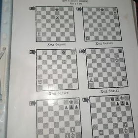шахматы