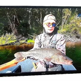 50 vestel telewizor телевизор