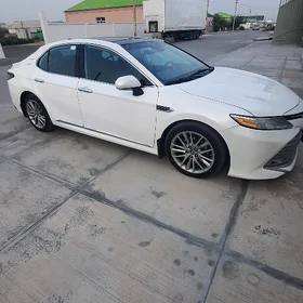 Toyota Camry 2019