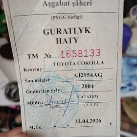 Guratlyk tapyldy
