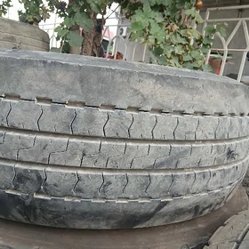 Daf dunlop teker