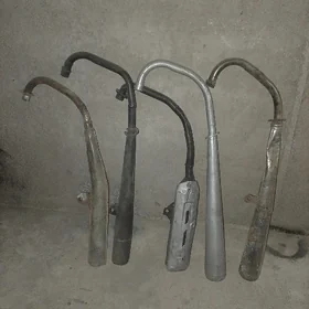 fekon gülşiter.