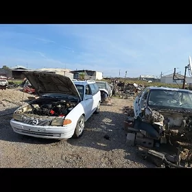 Opel morda