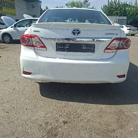 bamper haliji cyralar