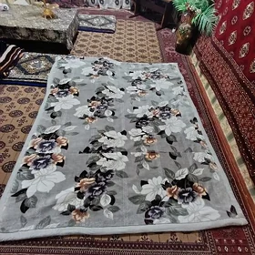 плет