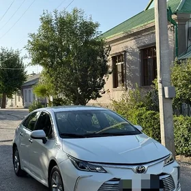 Şafýor gerek öz maşynynda