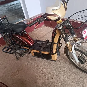 Elektro skuter