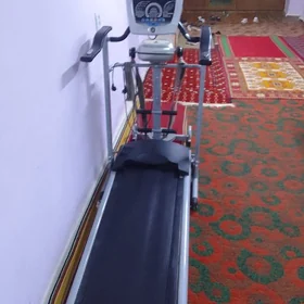 Begawoy daroşga