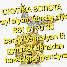 ķümüş alÿan