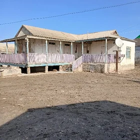 ağaç  jaý
