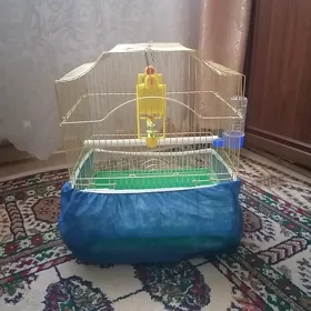 клетка