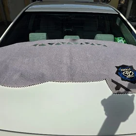 Tarpeda keçe
