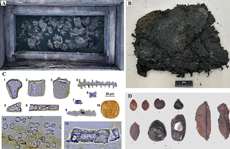 В Китае нашли 2200-летние свертки из листьев, похожие на древние цзунцзы