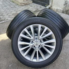 17lik dysga pakyrysga