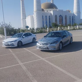 Toyota Camry 2022