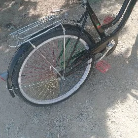 hytay tigir