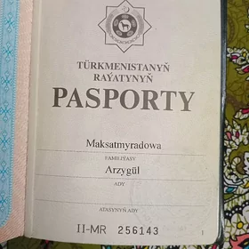 yiten pasport