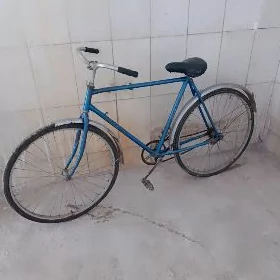 Aýyst welosepet