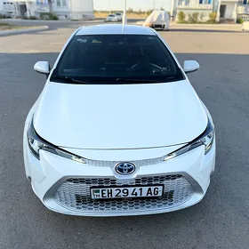 Toyota Corolla Hybrid 2021