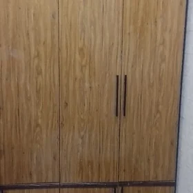 şFANER