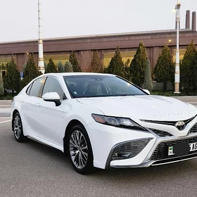 Toyota Camry 2020
