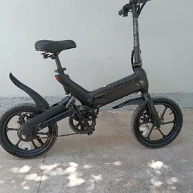 Tokly tigir