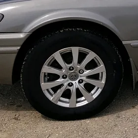 limitet disga r15