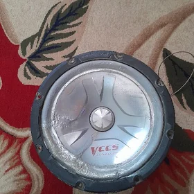 Pioneer bas boçka