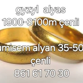 Gyzyl kumuş alyan