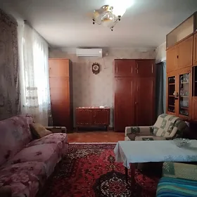 ✅Śok Baha SENTR 12/10 et 2 kom