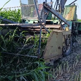 MTZ 80 1994