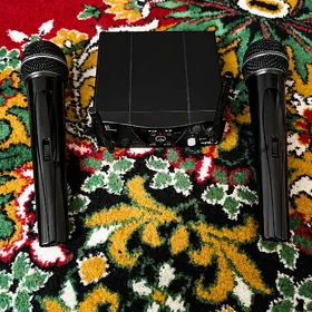 toy mikrafon
