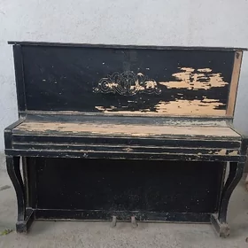 Belarus pianina