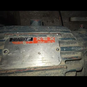 dwigatel motor