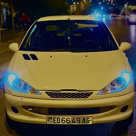 Peugeot 206 2009