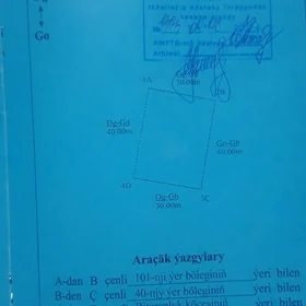 onally mellek yer