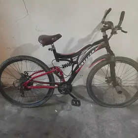 Welsepit