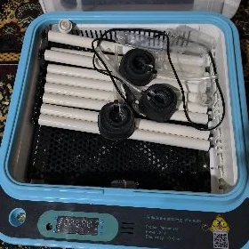 Inkubator