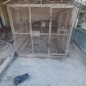 towuk ketek