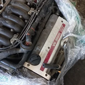 Arassa morda motorlar maxima