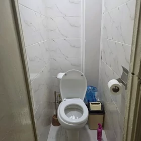 квартира