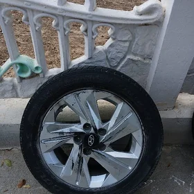Hyundai diska