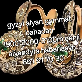 gyzyl alyan on gymmat bahadan