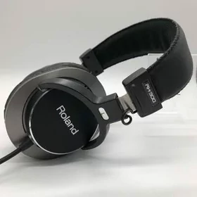 Roland RH 300